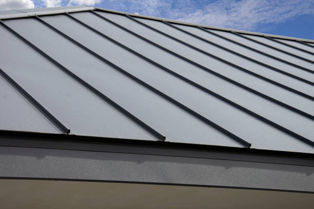 Best Commercial Roofing Services  in Loving, NM